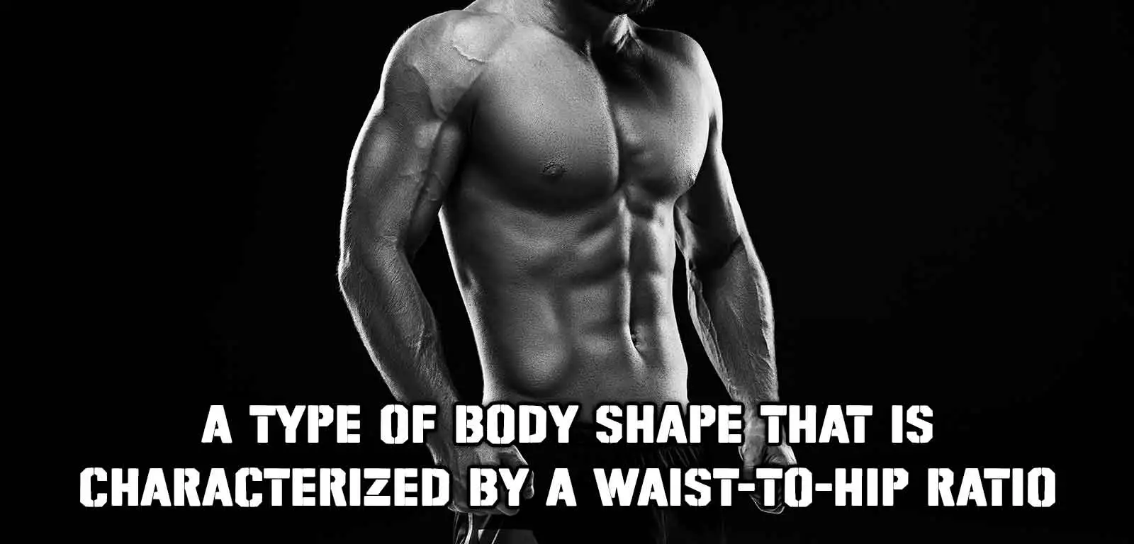 The body types that typically have a strong, muscular build.